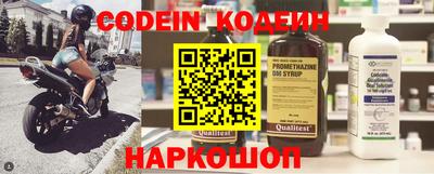 гашик Кинель