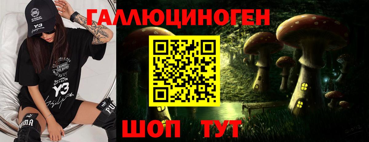 Котовск  что такое наркотик  Вход с VPN  Псилоцибиновые грибы ЛСД 